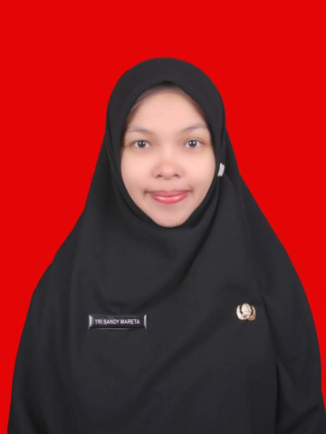 TRI SANDY MARETA,S.Pd
